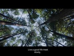 -青山湖景区