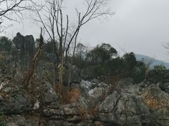 -千岛湖石林