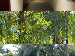 -三亚湾海居铂尔曼度假酒店