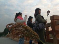 -阳澄湖半岛旅游度假区