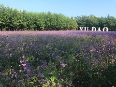 -渔岛海洋度假区