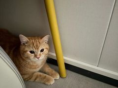 -荔康动物医院(康王北路店)