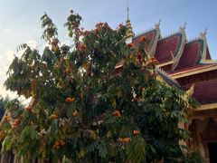 -西双版纳总佛寺