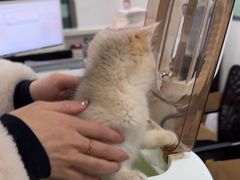 -佳雯宠物医院·皮肤科·内外科(春晓路分院)