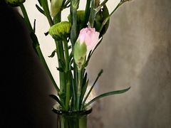 -新侨三宝乐西餐厅(崇文门店)