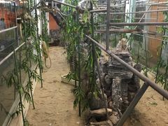 -荔城生鲜盛宴(番禺旗舰店)