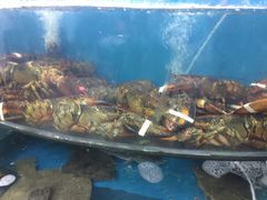 -聚德福海鲜家常菜(刘庄店)