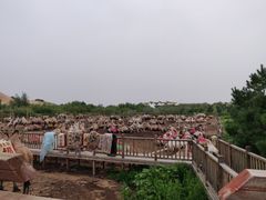 -玉龙沙湖景区
