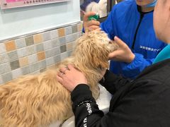 -骐奇宠物诊疗中心(南亭公路店)