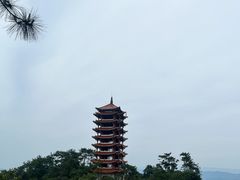 -缙云山景区