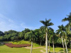 -广州市白云山风景名胜区