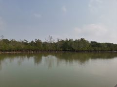 -东寨港红树林旅游区