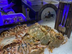 -加餐海鲜自助(宝龙一城店)