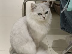 -怪兽屋·羊驼·猫咖·狗咖(俊华广场店)