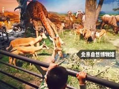 -国家自然博物馆