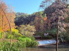 -云溪植物园