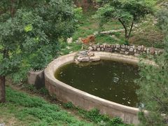 -石家庄市动物园