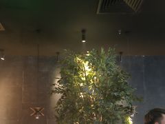 -同仁四季椰子鸡(无锡滨湖万象汇店)