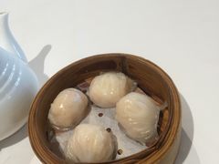 -粤式早茶希朋喜宴