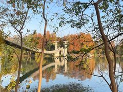 -东湖落雁景区