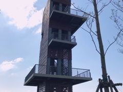 -春花秋色城市公园