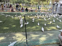 -长白岛森林公园