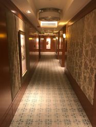 -大美母婴月子专护中心(紫峰店)