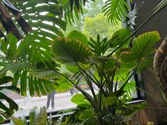 -J Create城市露营咖啡·简餐·宠物(上海动物园店)