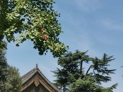 -西安碑林博物馆