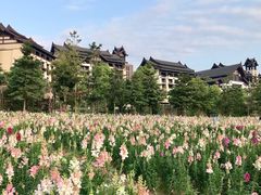 -清远熹乐谷温泉度假酒店
