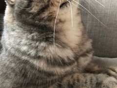 -天使咖啡(兴新街店)