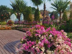 -海心沙亚运公园