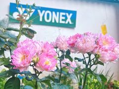 -YONEX网羽有约(新街口店)