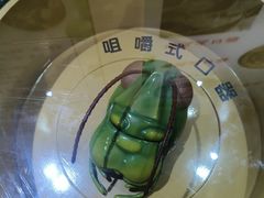 -上海昆虫博物馆