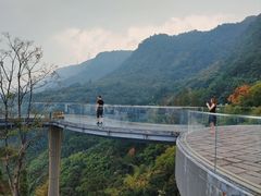 -缙云山景区