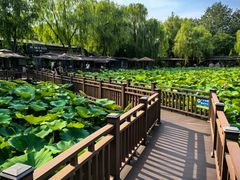 -风渡嘉荷·美式西餐厅·招牌汉堡·烤鸡·牛排(西三旗金隅店)