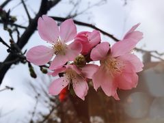 -田野绿世界