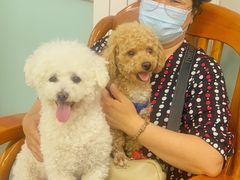 -达爱动物医院·犬猫分区·CT·复杂眼科(远洋山水分院)