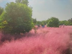 -嘉北郊野公园