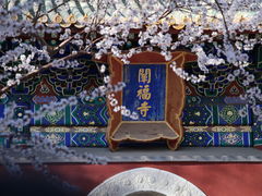 -北海公园