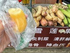 -青城山