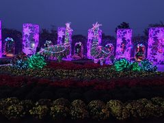 -上海杨姆庄园