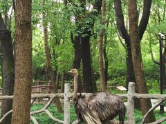 -昆山城市生态森林公园