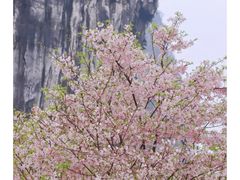-南溪山景区