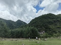 -狮子沟牧场