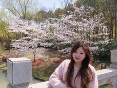 -顾村公园3号门停车场