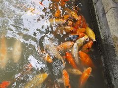 -上海方塔园