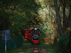 -上海共青森林公园