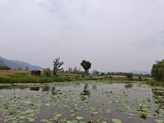 -径山花海