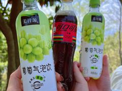 -惠山国家森林公园